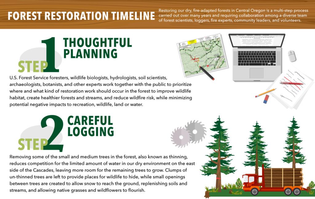 dcfp-infographic-restoration-timeline-1024x648-9922068