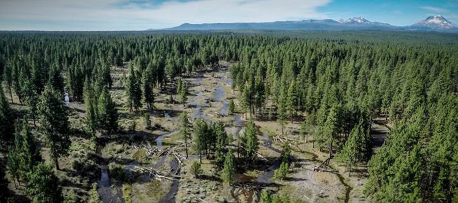 watershed-restoration-deschutes-9476049