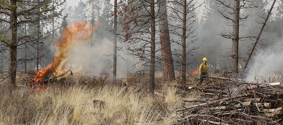 west-bend-project-controlled-burn-1858063