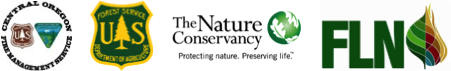 fln-logos-7293862