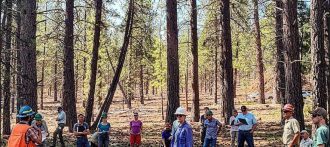 pinedrops-field-trip-330x147-3417652