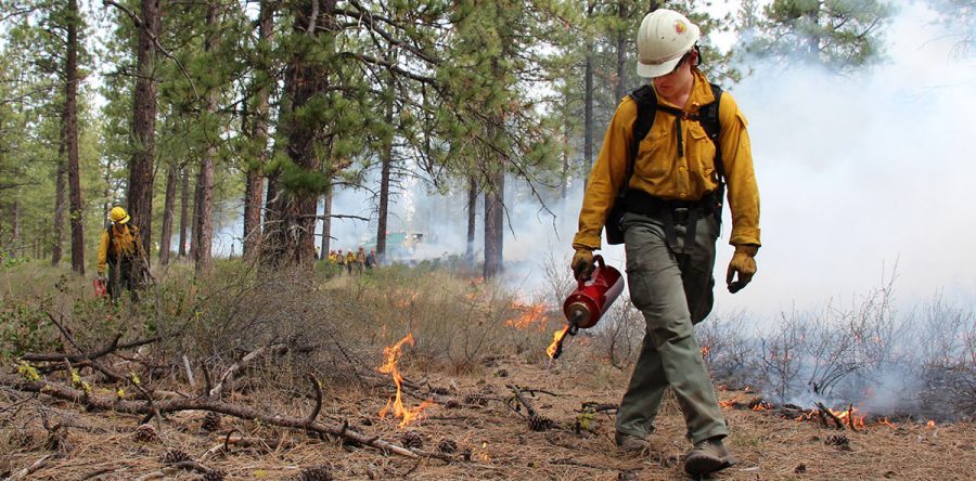 dcfp-prescribed-fire-bend-oregon-900x444-3819688