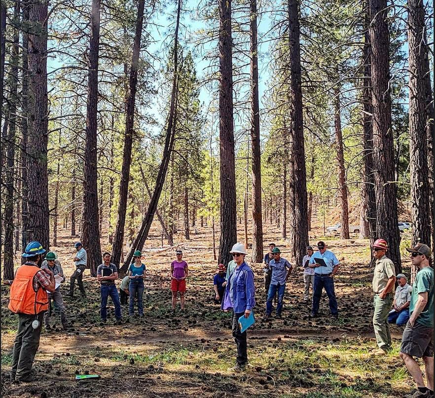 pinedrops-field-trip-4340597