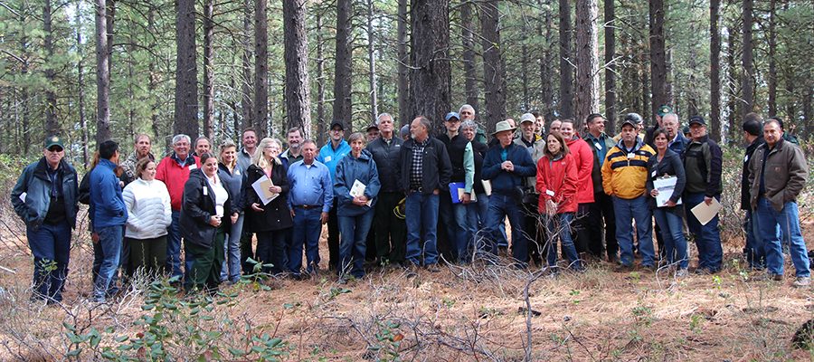 coalition-deschutes-national-forest-8483659