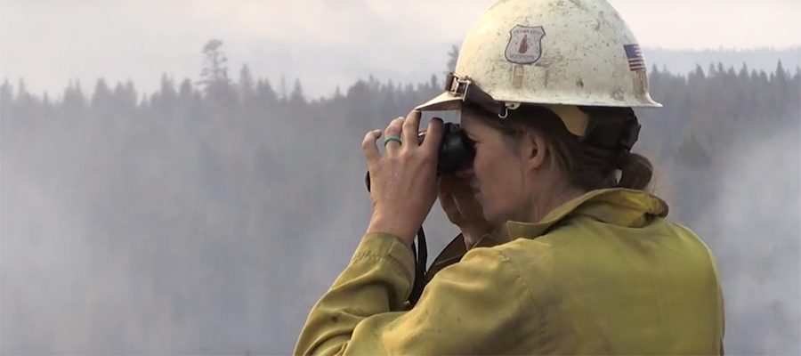 fuels-reduction-forest-restoration-milli-fire-sisters-9915979