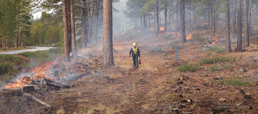 perscribed-burning-bend-oregon-9762231