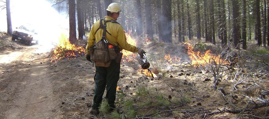 perscribed-burning-deschutes-4348431