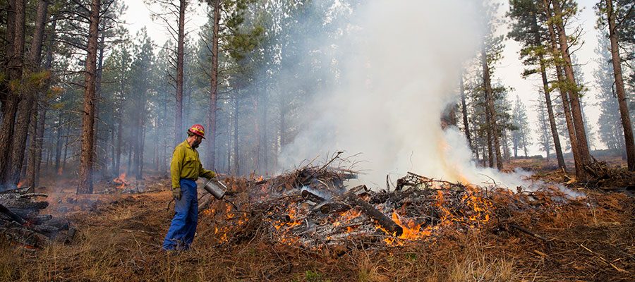 pile-burning-bend-oregon-1415698