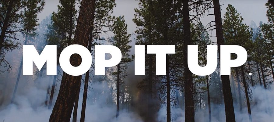 post-prescribed-burn-mop-up-3602850
