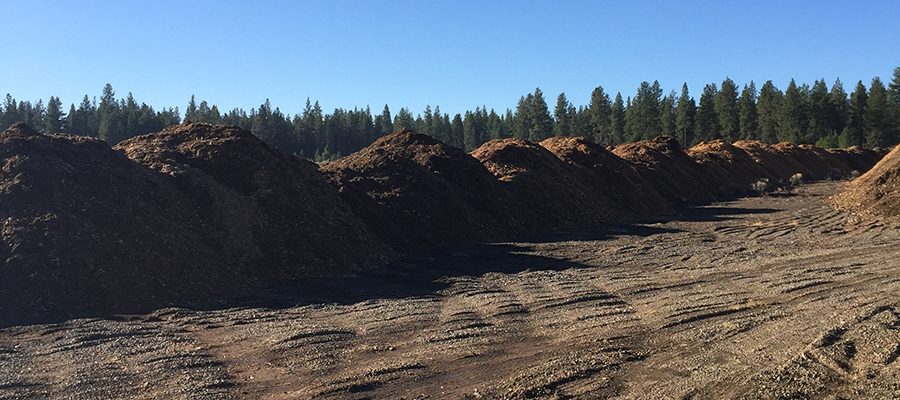 west-bend-mulch-piles-forest-restoration-deschutes-3046509
