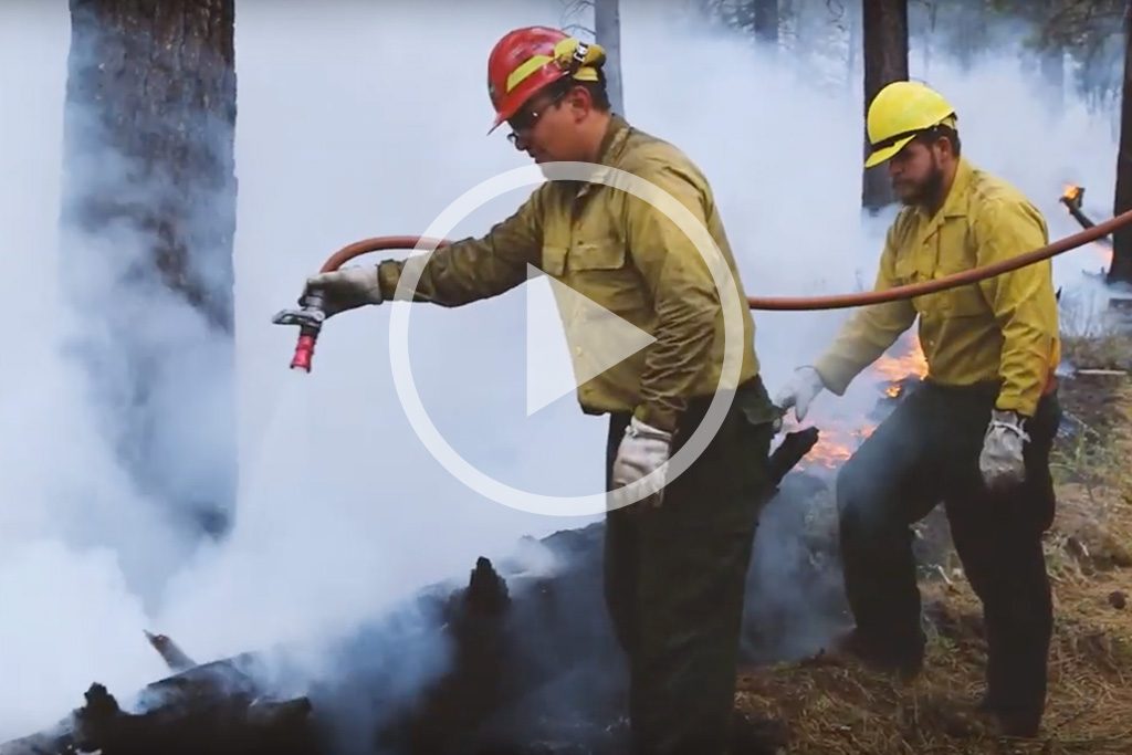 mop-up-after-prescribed-burn-3069953