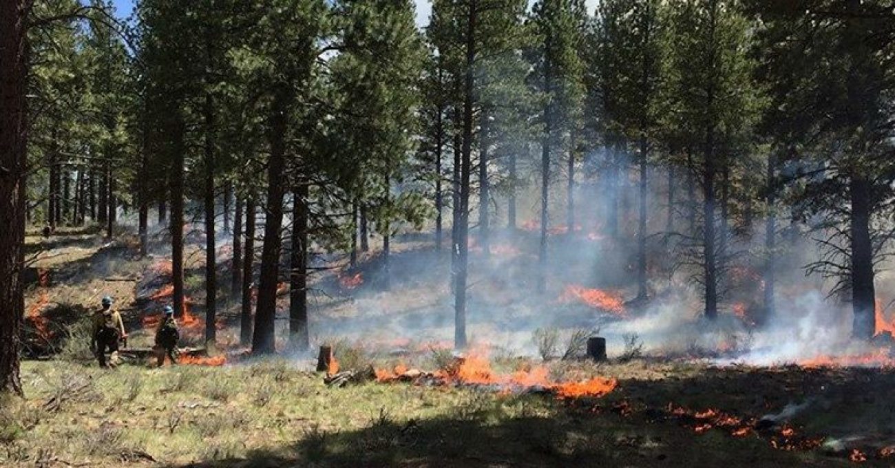 prescribed-burning-west-bend-9098023