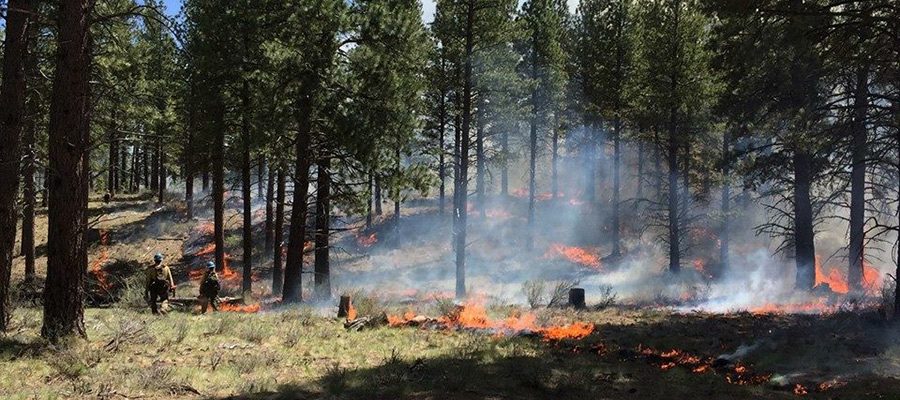 prescribed-burning-west-bend-9098023