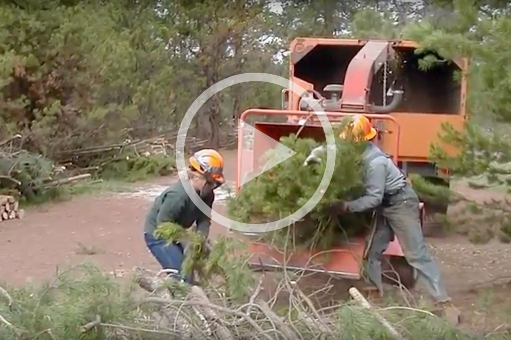 all-hands-all-lands-video-deschutes-forest-7868371
