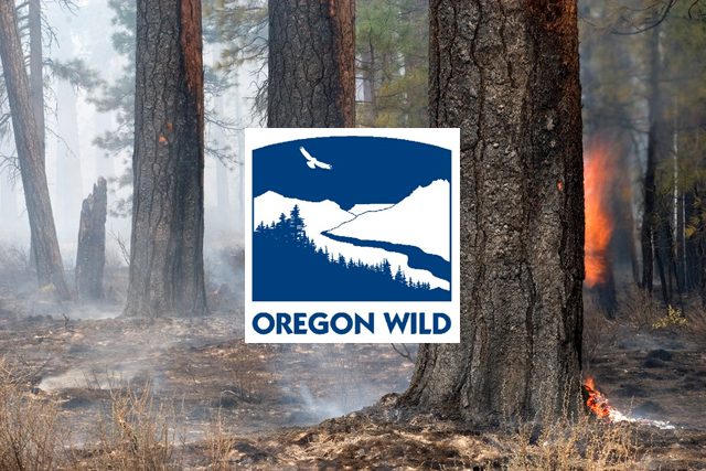 oregon-wild-why-prescribed-fire-2191395