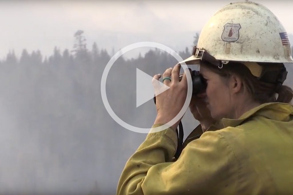 dcfp-milli-fire-fuels-reduction-7683069