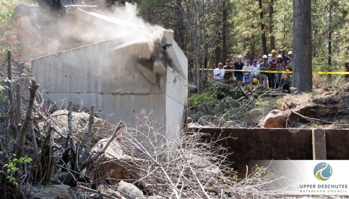 pine-meadow-ranch-diversion-dam-removal-700x400-1-4785656