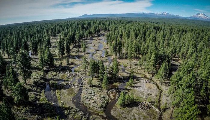 whychus-floodplain-birds-eye-view-2015-700x400-1-6805905